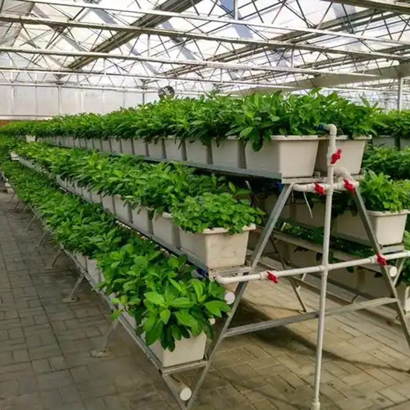 九江市植物工厂水培设备 - 推荐